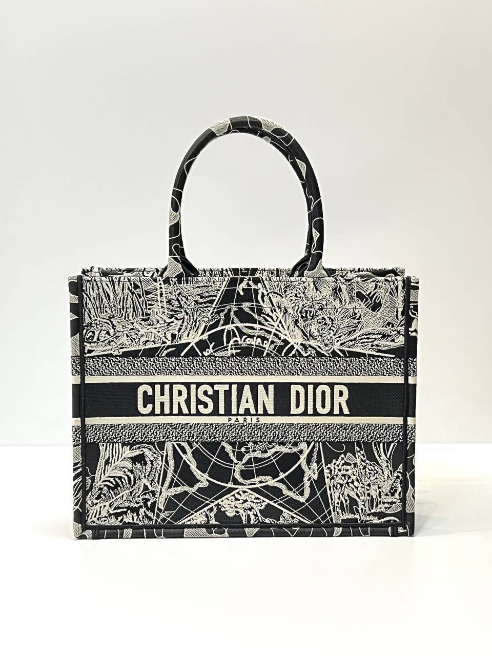 Сумка Christian Dior